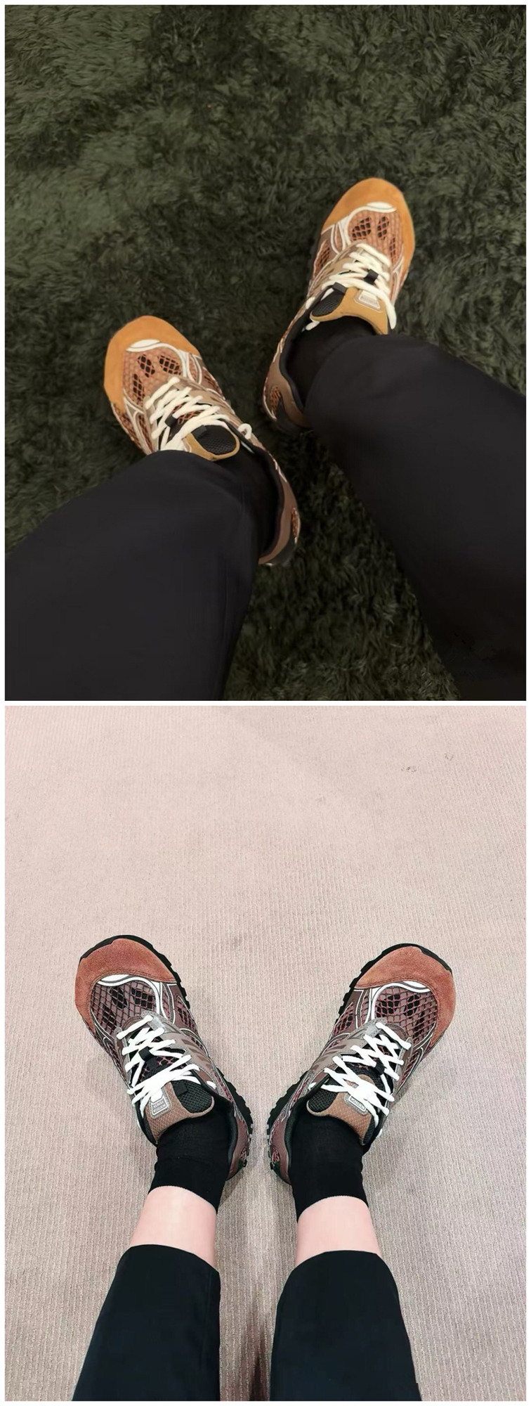 113.jpg