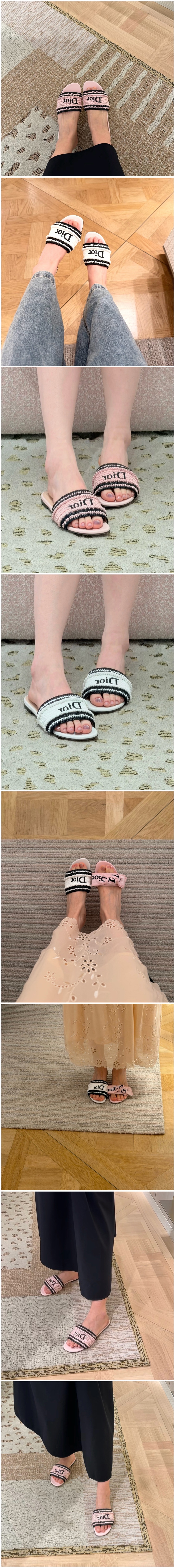 337.jpg